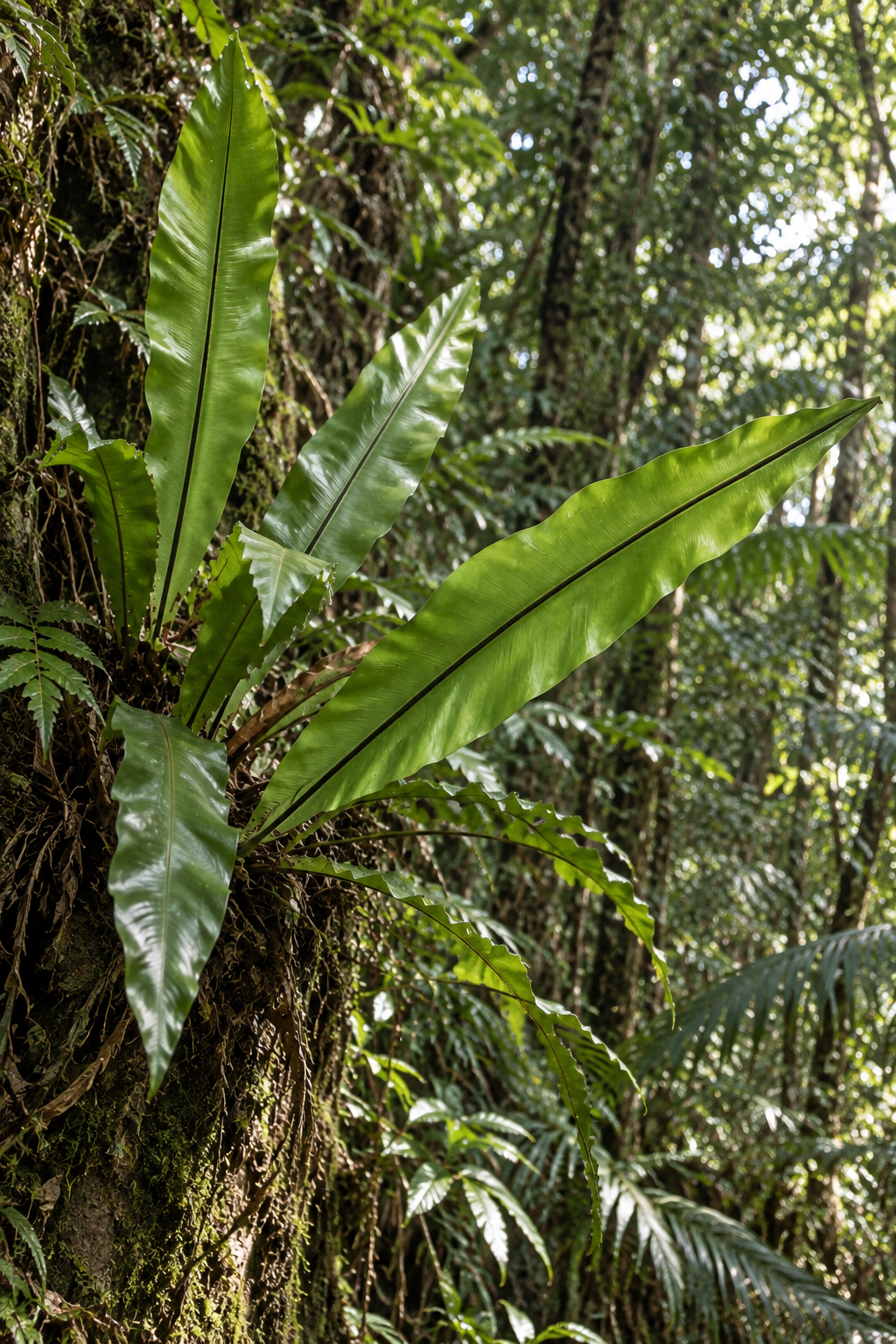 Otaniwatari in its natural habitat (illustrative image)